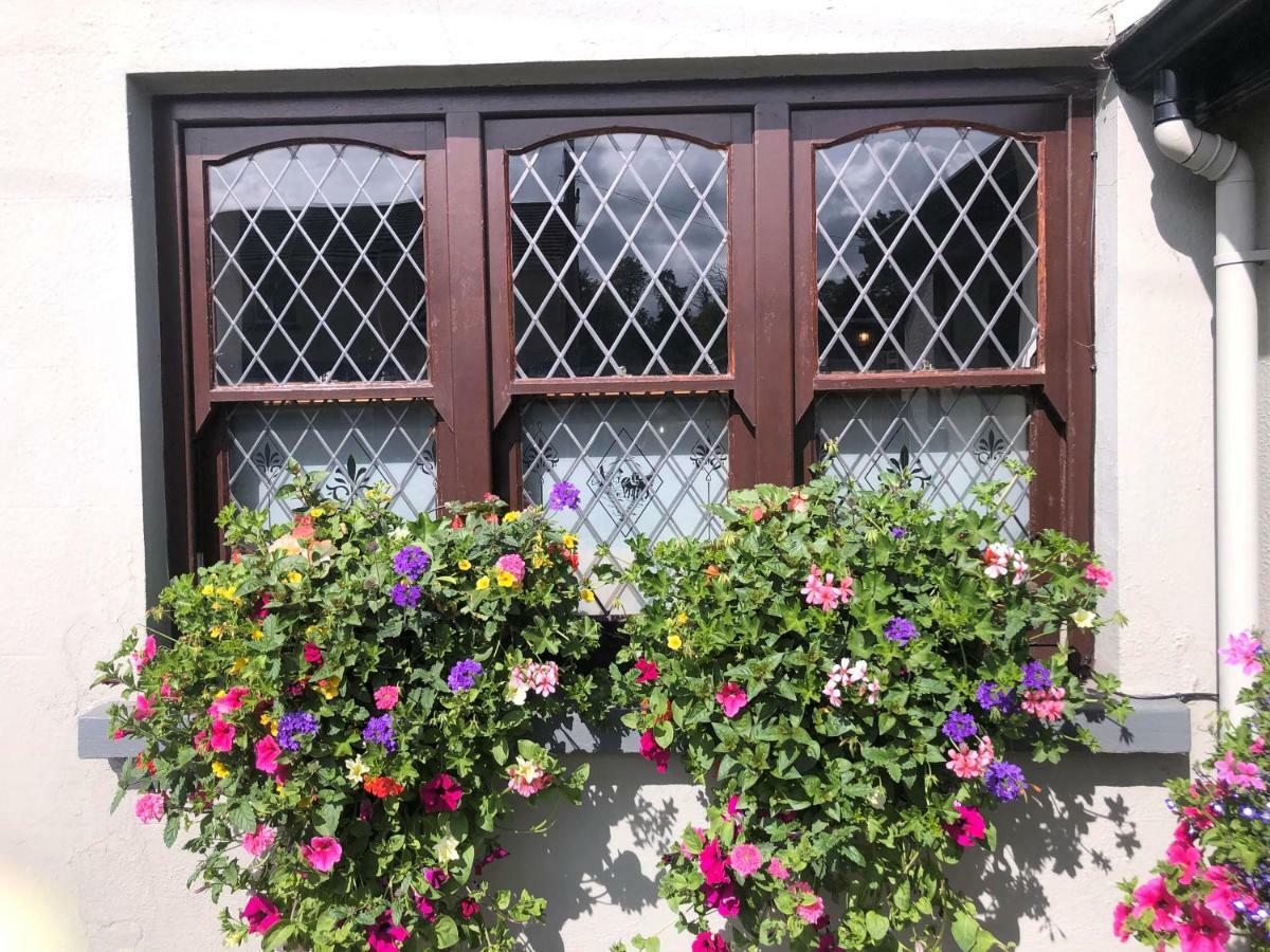 Chester Beatty Inn Ashford Экстерьер фото